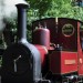 Perrygrove Railway ~ Trains, Treetop Walk, Play Area (10 mins drive)